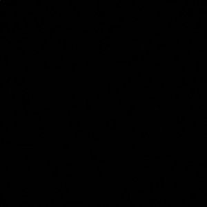 Meet your Posher, Janelyn